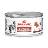 Recovery Veterinary para Cães e Gatos em Recuperação 195g - Royal Canin