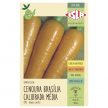 Sementes de Cenoura Brasília Calibrada Média 300mg - Isla