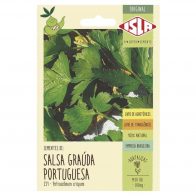 Sementes de Salsa Graúda Portuguesa 500mg - Isla
