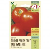 Sementes de Tomate Santa Cruz Kada Paulista 250mg - Isla
