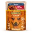 Special Dog Sênior Sachê Sabor Carne ao Molho 100g - Manfrim