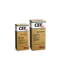 antimicrobianos_cef50