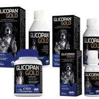 glicopan-gold1