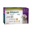 simparic-caes-10mg-2-5kg-zoetis